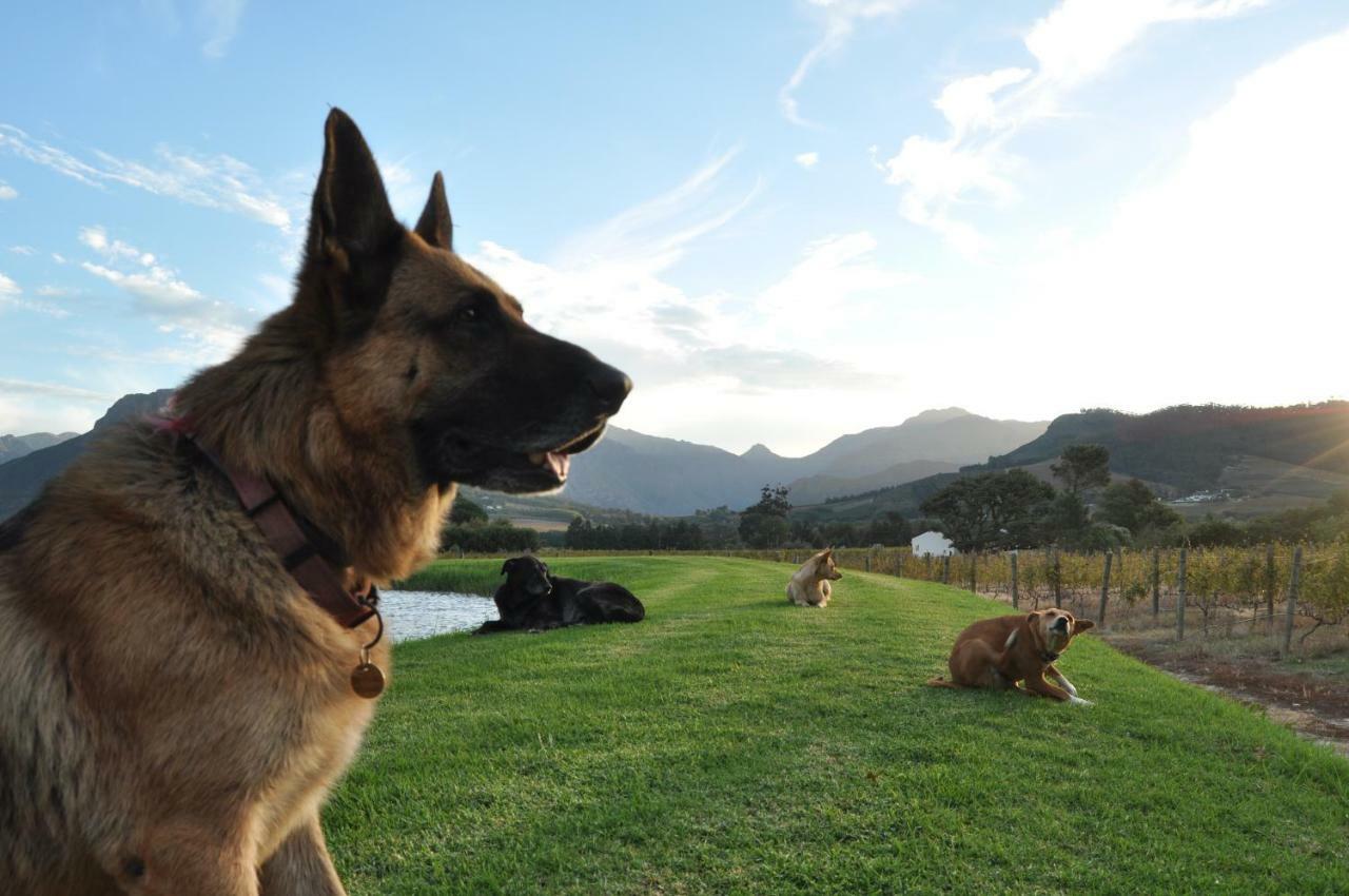 Bo La Motte Farm Cottages Franschhoek Extérieur photo