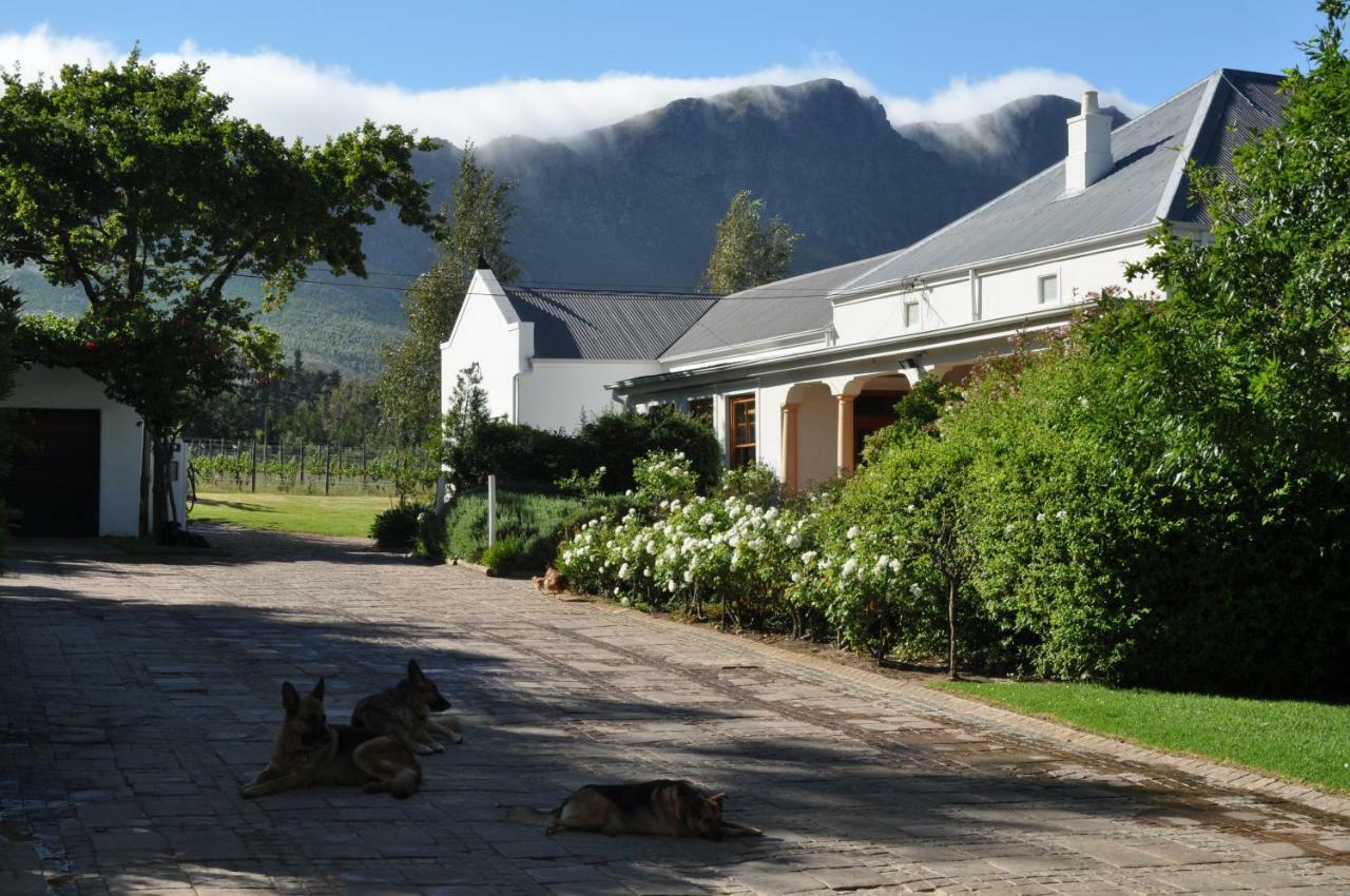 Bo La Motte Farm Cottages Franschhoek Extérieur photo